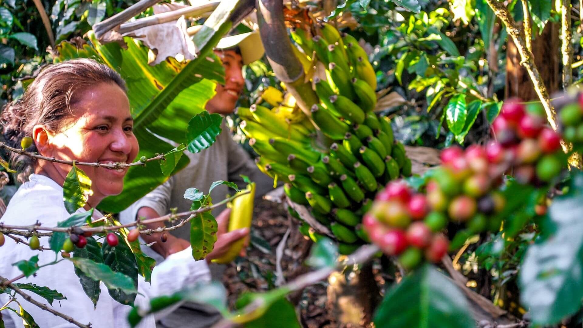 WEBSITE - Hoogtepunten van authentiek Peru (25 dagen - 24 nachten)