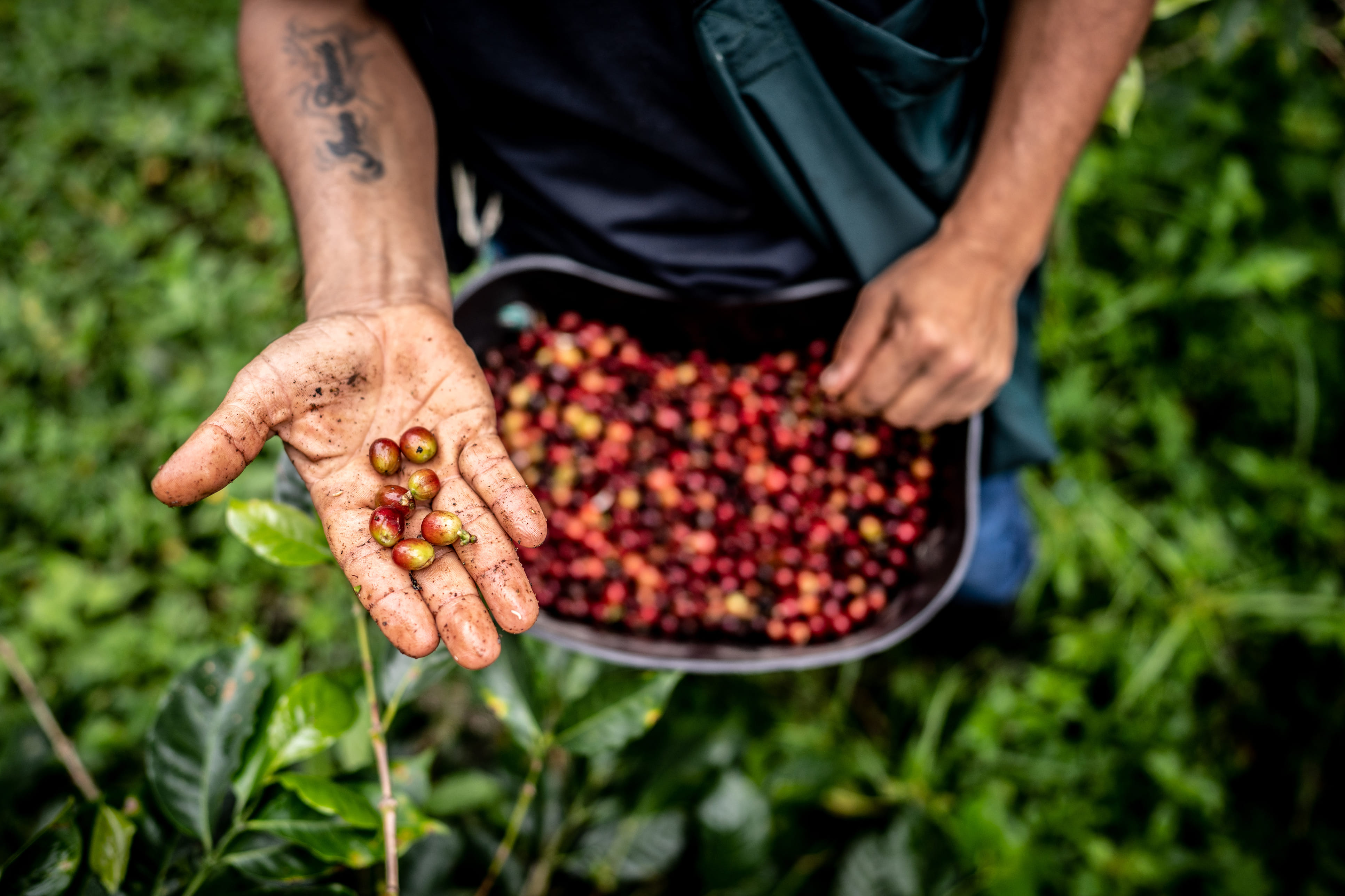 Sfeerimpressie
