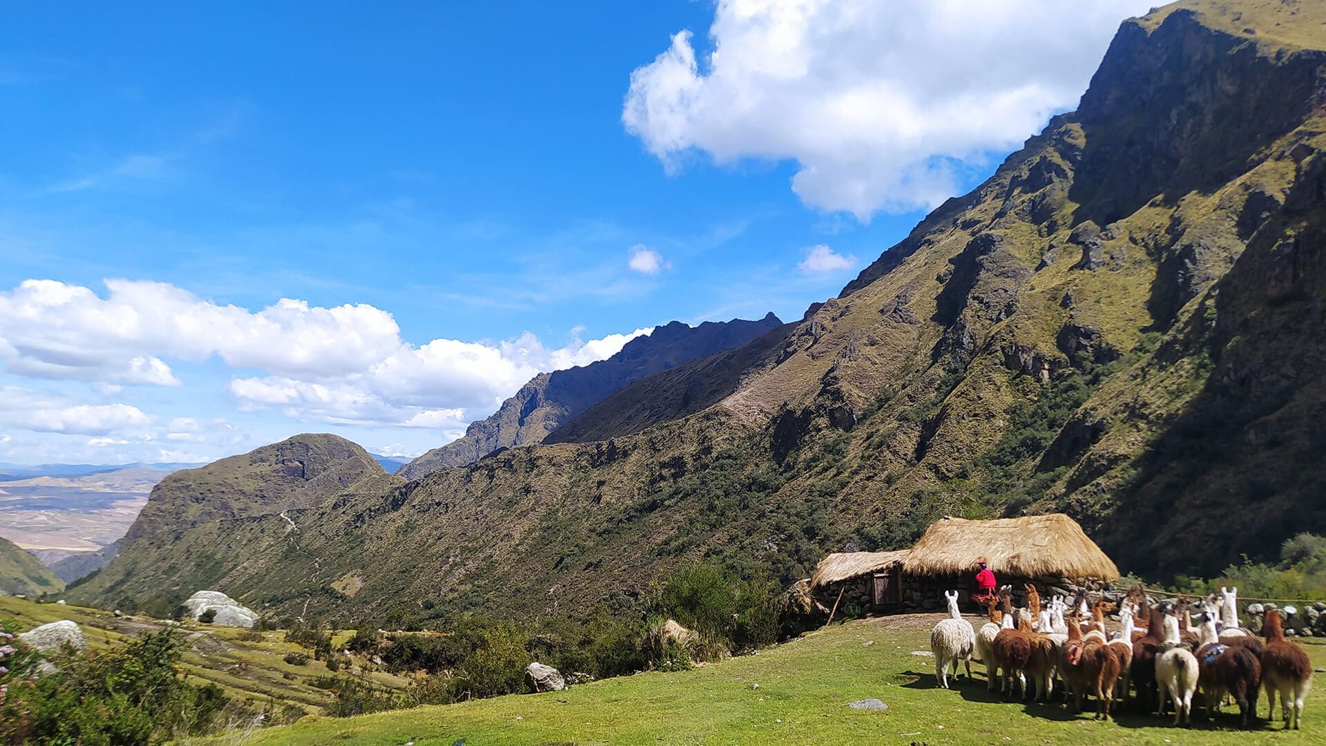 WEBSITE - Hoogtepunten van authentiek Peru (25 dagen - 24 nachten)