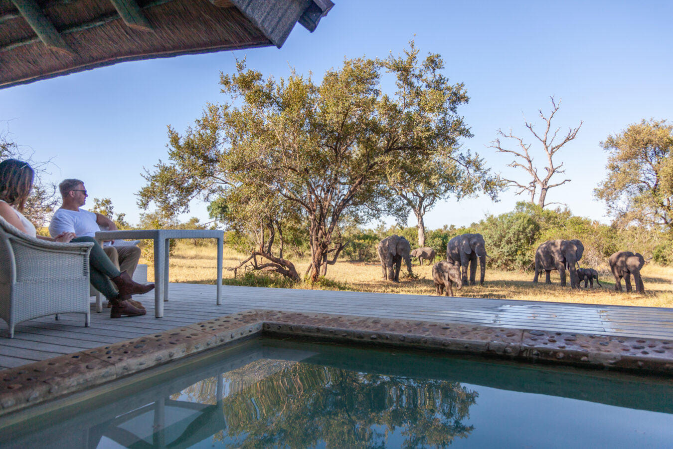 Leopard Hills - Sabi Sands Game Reserve