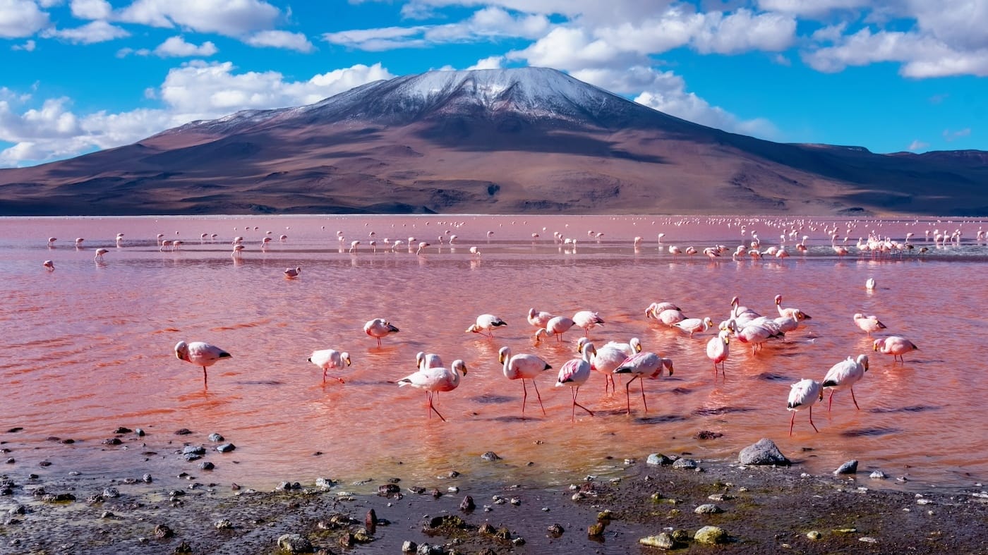 WEBSITE - Comfort reis Bolivia in twee weken (16 dagen/15 nachten)