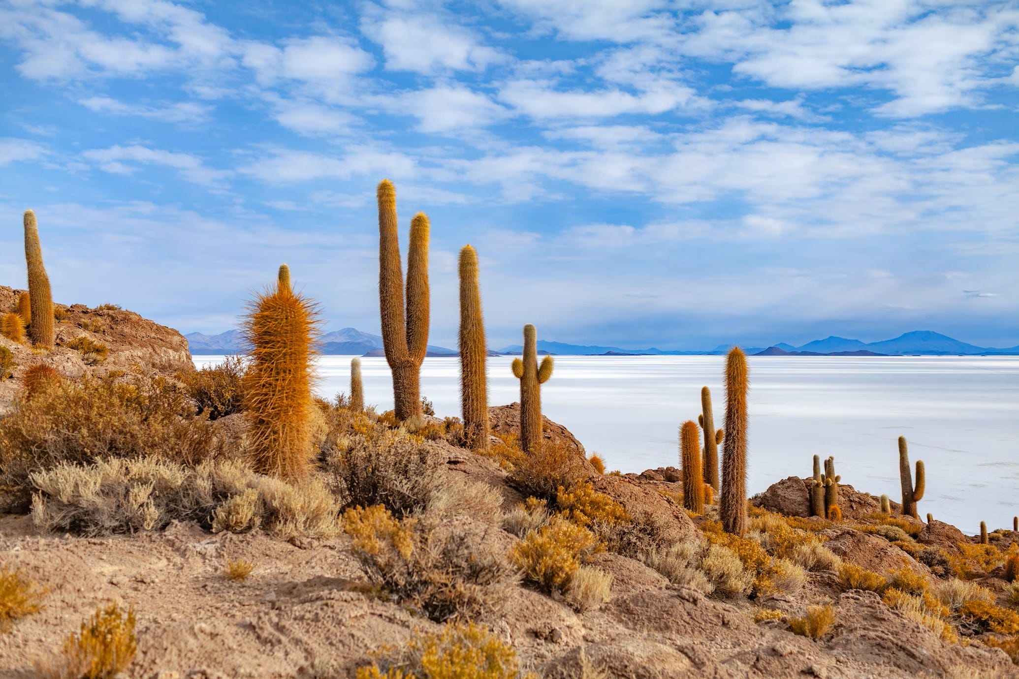 WEBSITE - Complete rondreis door authentiek Bolivia (28 dagen - 27 nachten)