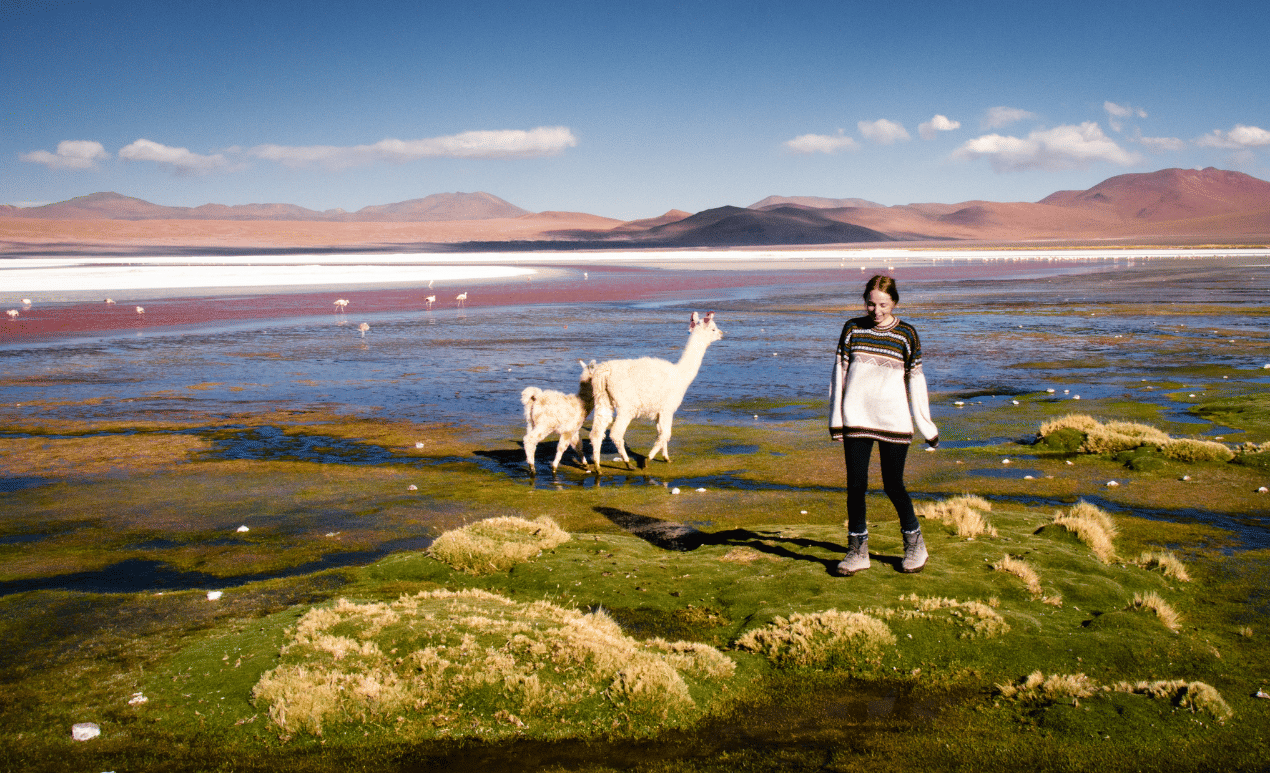 WEBSITE - Complete rondreis door authentiek Bolivia (28 dagen - 27 nachten)